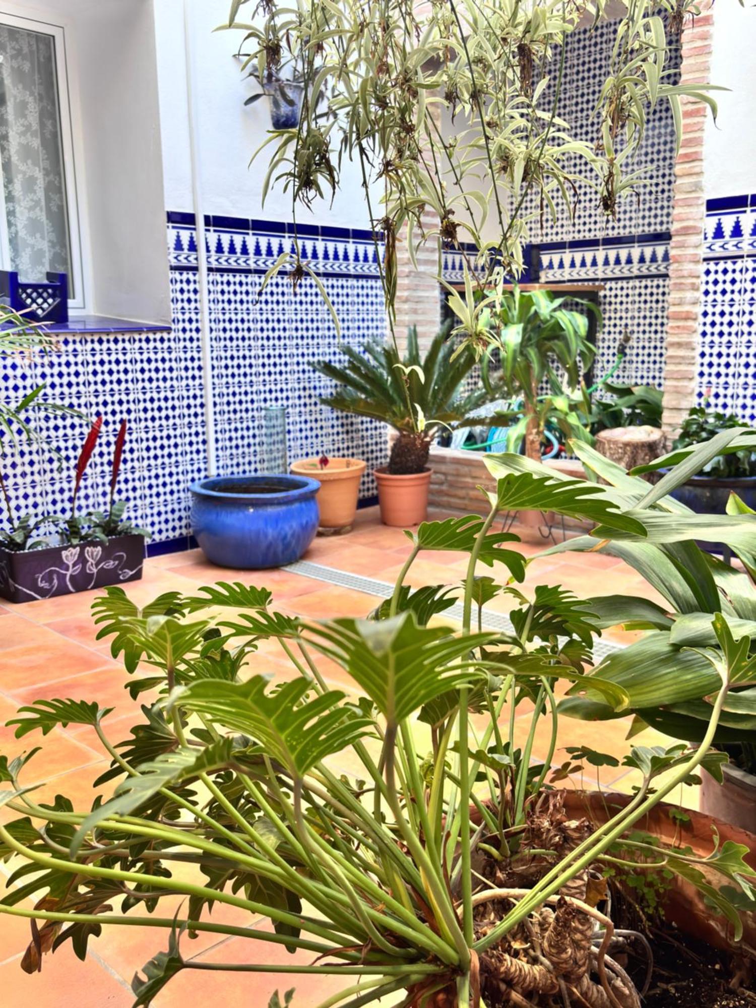 Shanti's Andalusian Gasthuis