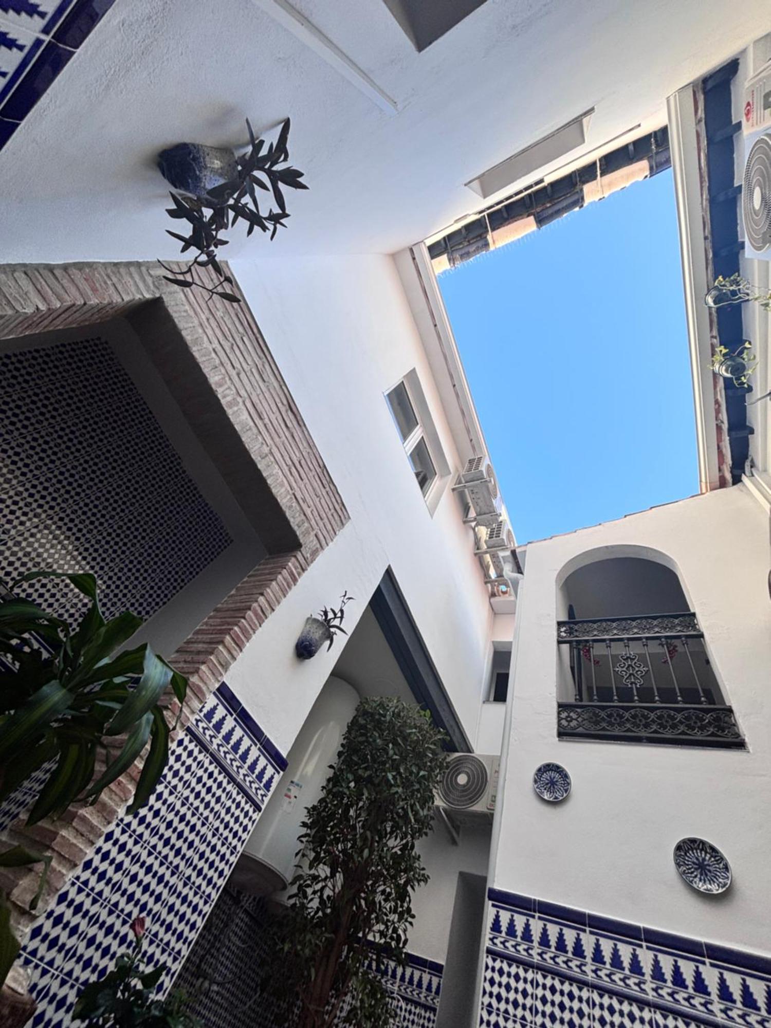 Shanti's Andalusian Málaga